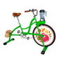 Smoothie Bike grün